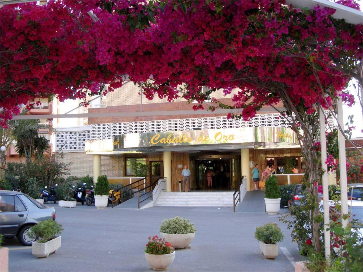Hotel Caballo De Oro Бенидорм Экстерьер фото